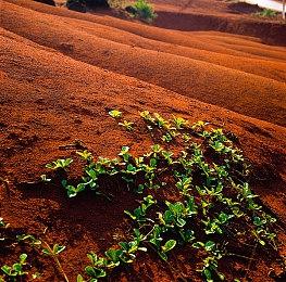 《合金装备：大师合集Vol.1》新鸣谢名单没有小岛秀夫